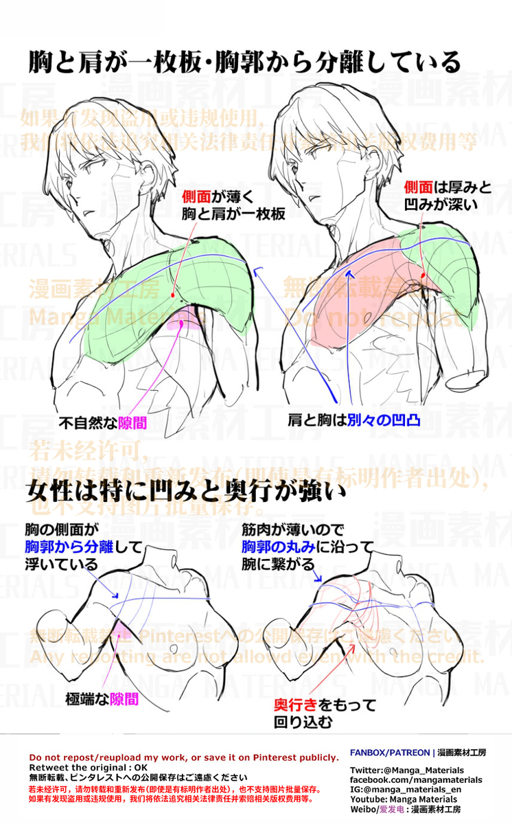 個人メモ：*肩周りの筋肉の繋がり