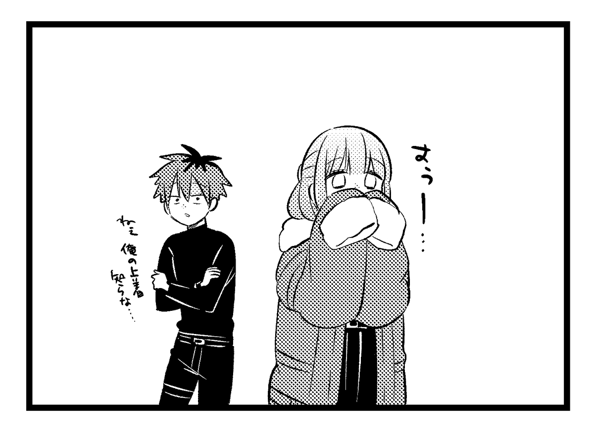 斯塔菲尔装11。