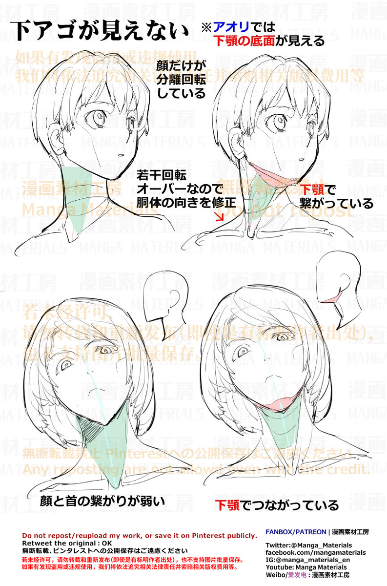 個人メモ：顔と首を繋ぐ顎の底面