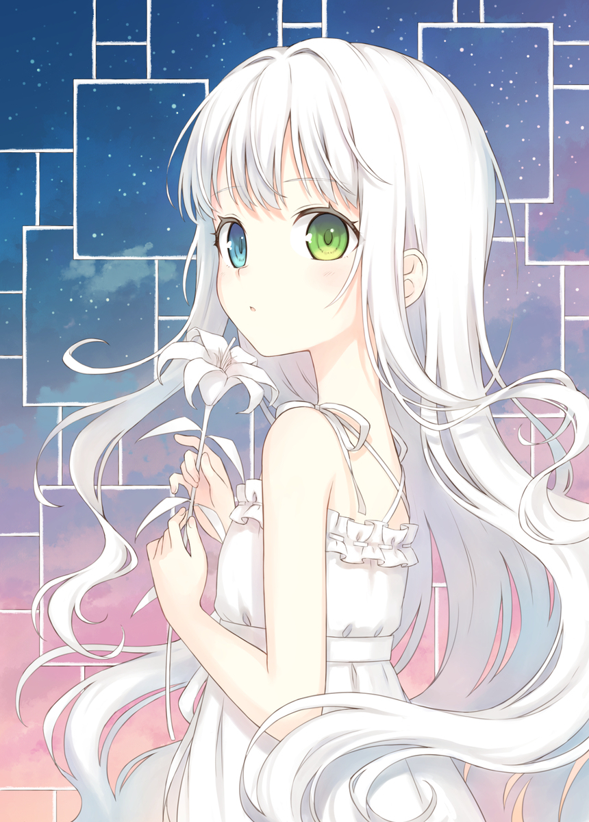 白百合
