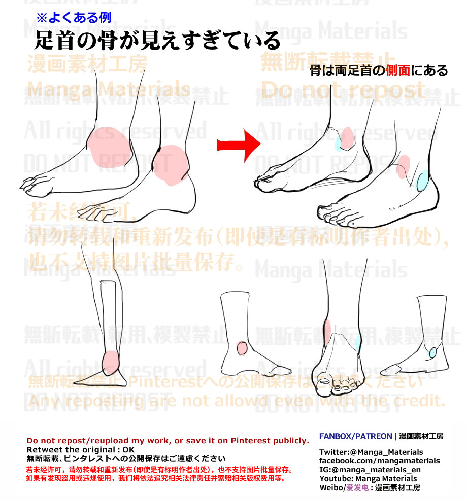 個人メモ：足首の骨