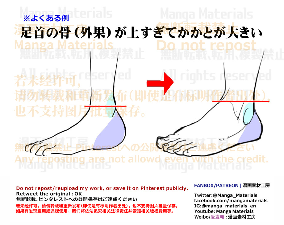 個人メモ：足首の骨