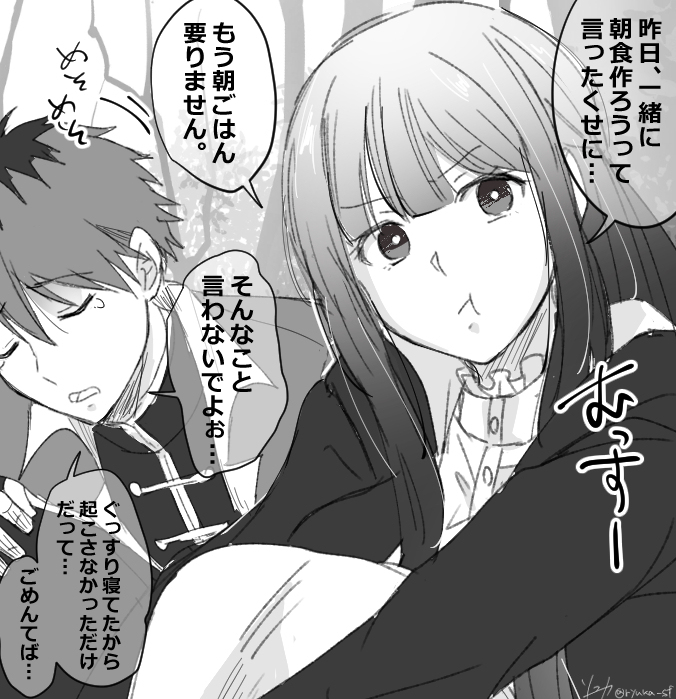 施塔费尔日志