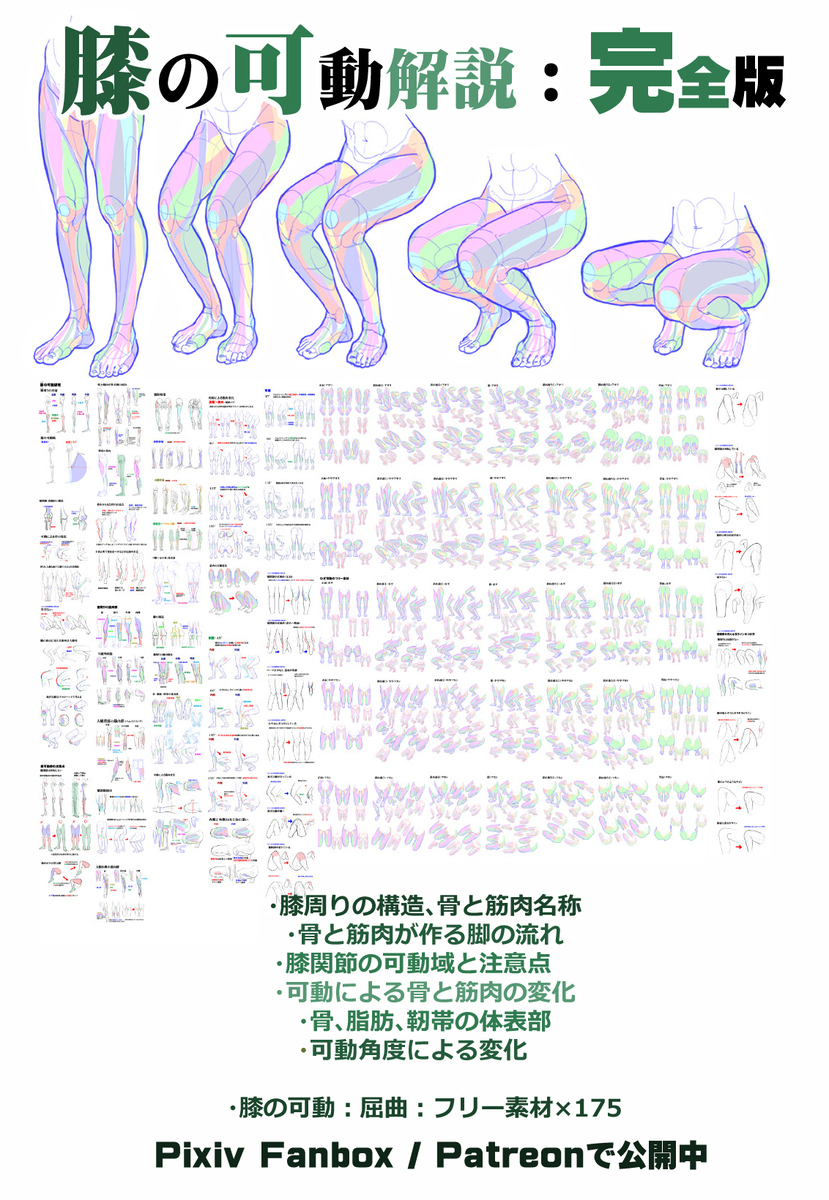 個人メモ：膝の描き方