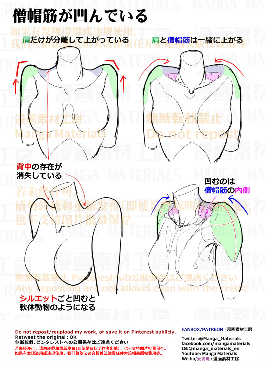 個人メモ：肩の可動と凹凸変化
