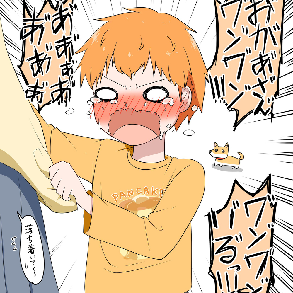 X(旧Twitter) 总结 (proseca)