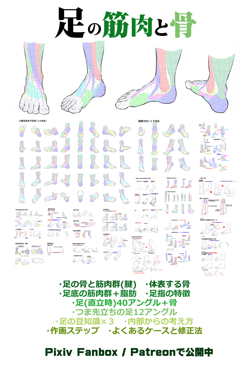 個人メモ：足の描き方