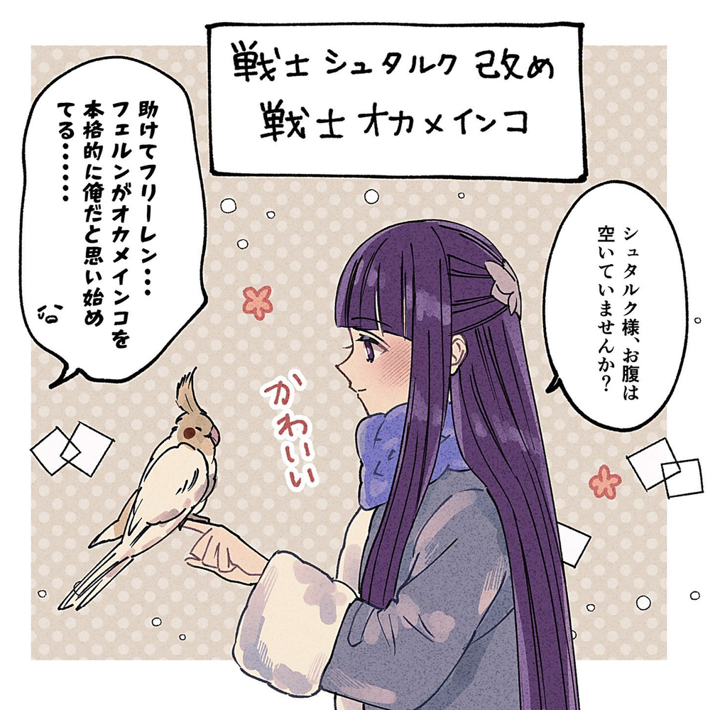 施塔费尔画和漫画装放题2