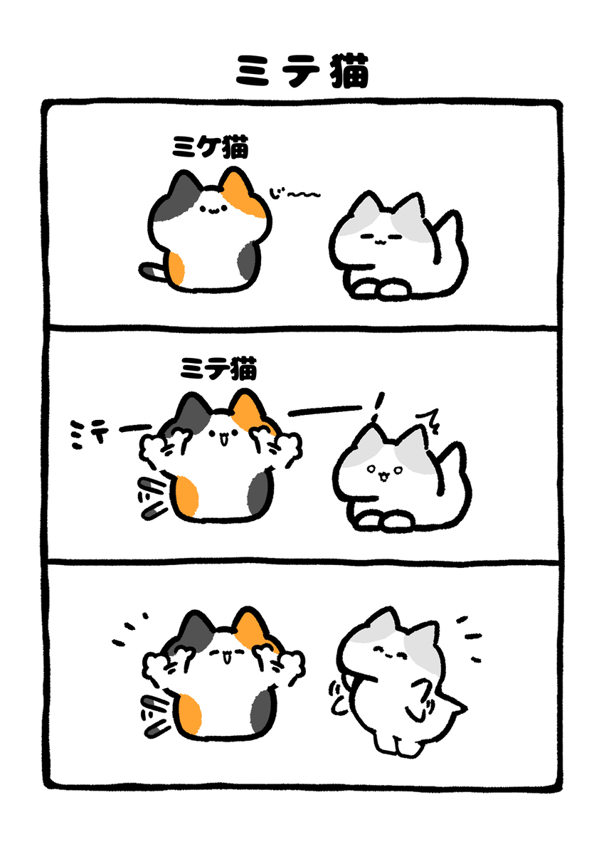 No.2200《米蒂猫》