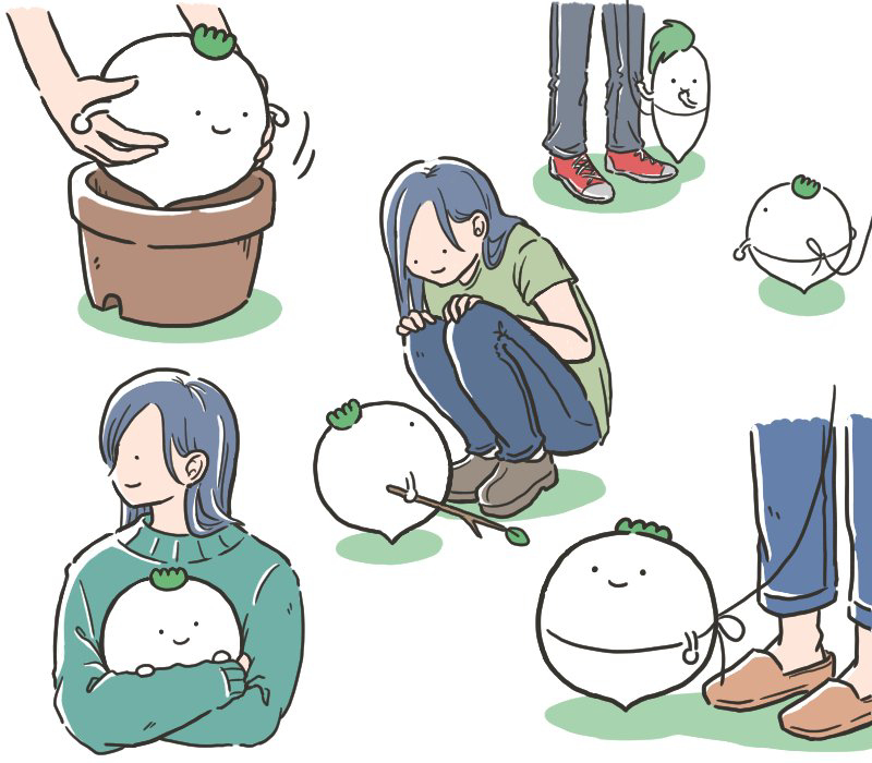 兜帽和兜帽插图总结