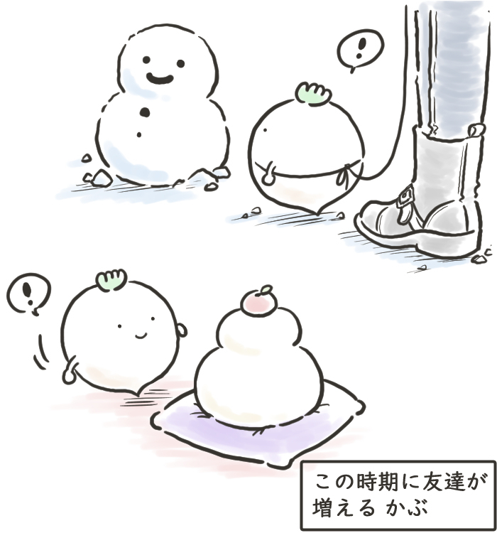 兜帽和兜帽插图总结