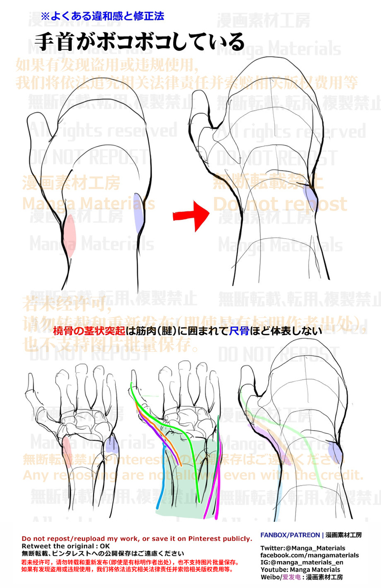 個人メモ：手首の突起/橈骨と尺骨の茎状突起