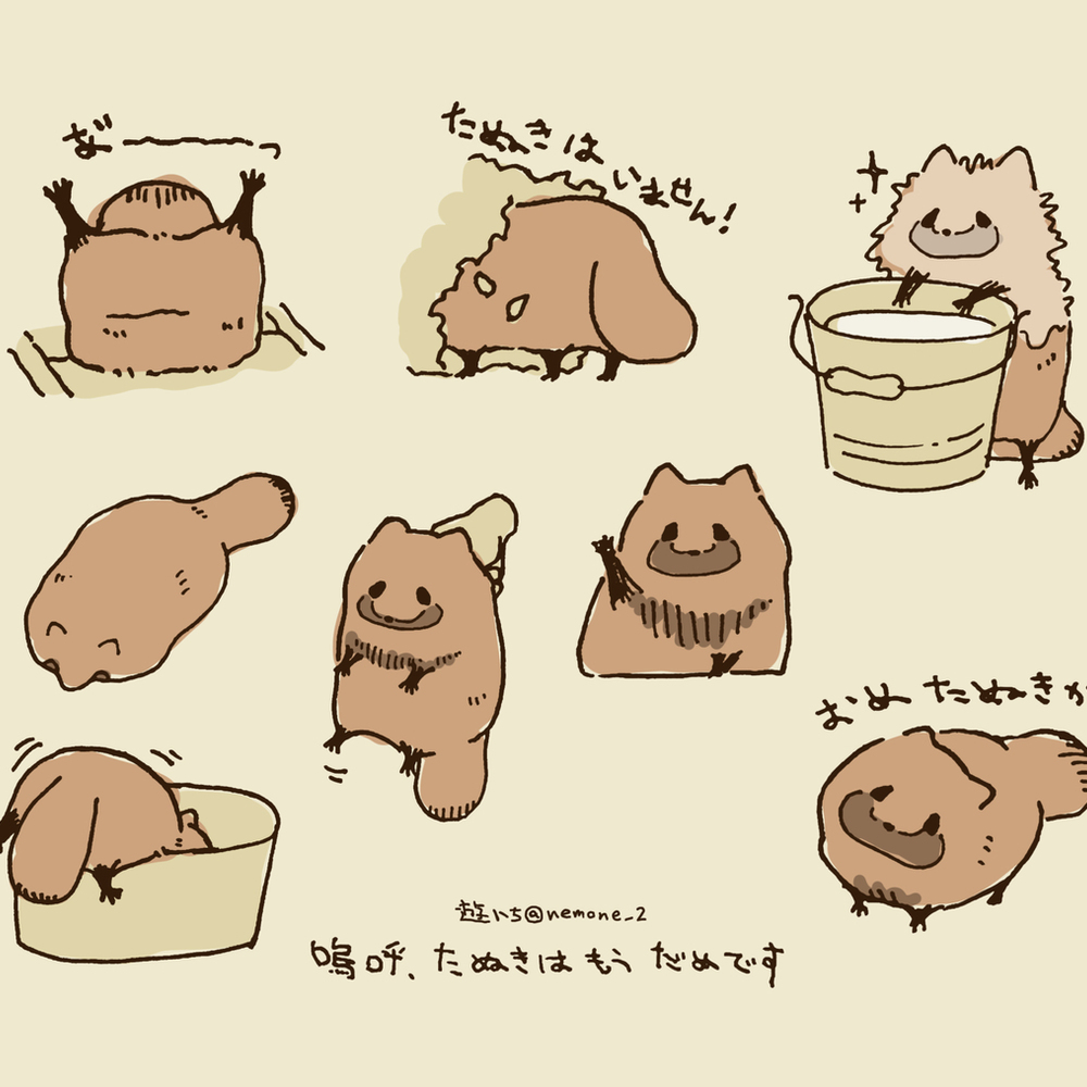 ③ 呼呼，狸猫已经不行了