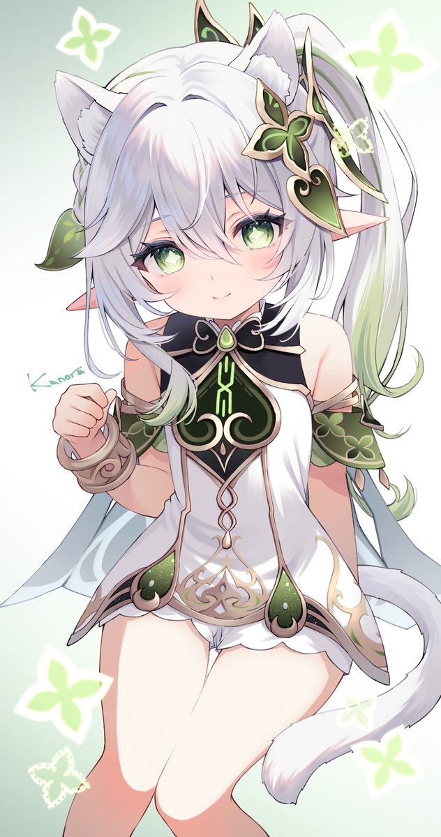 尼亚希达