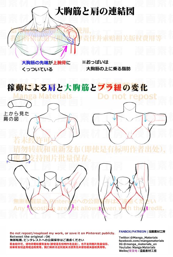個人メモ：可動による肩・大*筋・ブラ紐の変化