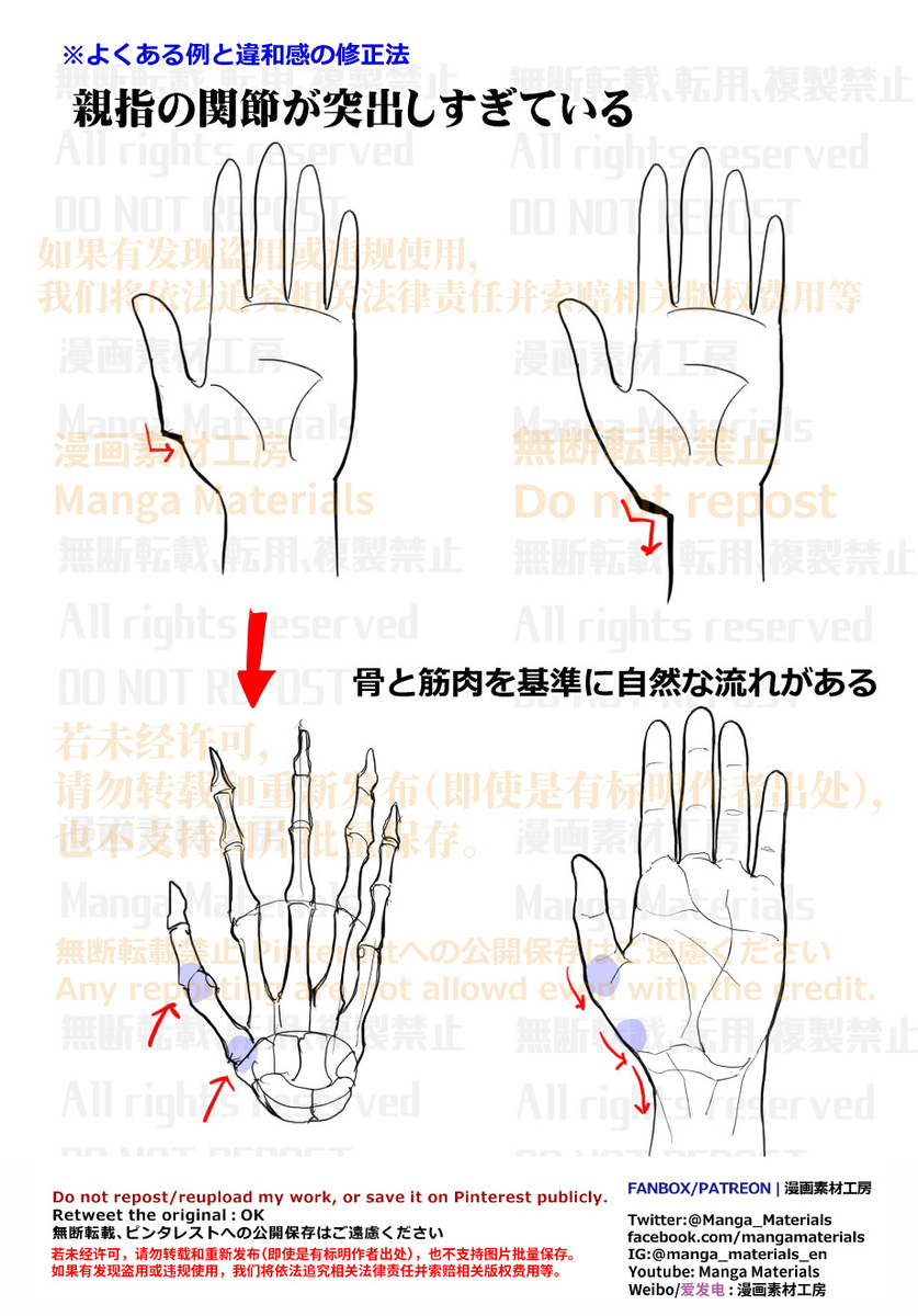 個人メモ：手の基本構造