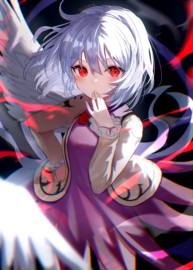 鲨鱼