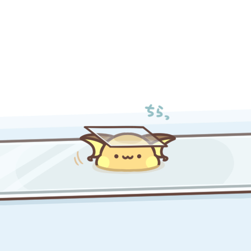 理科