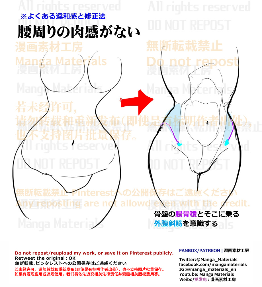 個人メモ：外腹斜筋