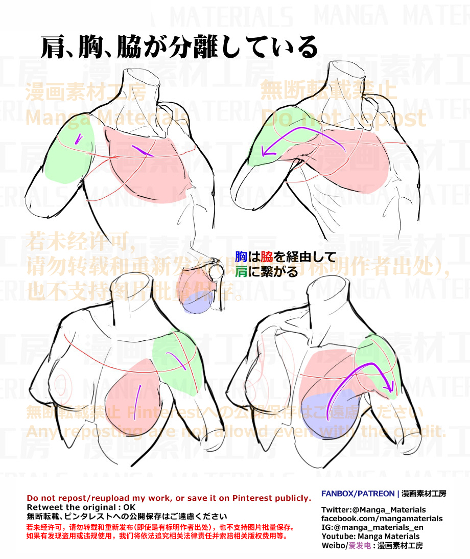 個人メモ：肩､*､腋の繋がり