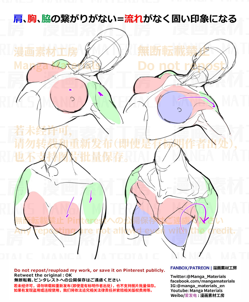 個人メモ：肩､*､腋の繋がり