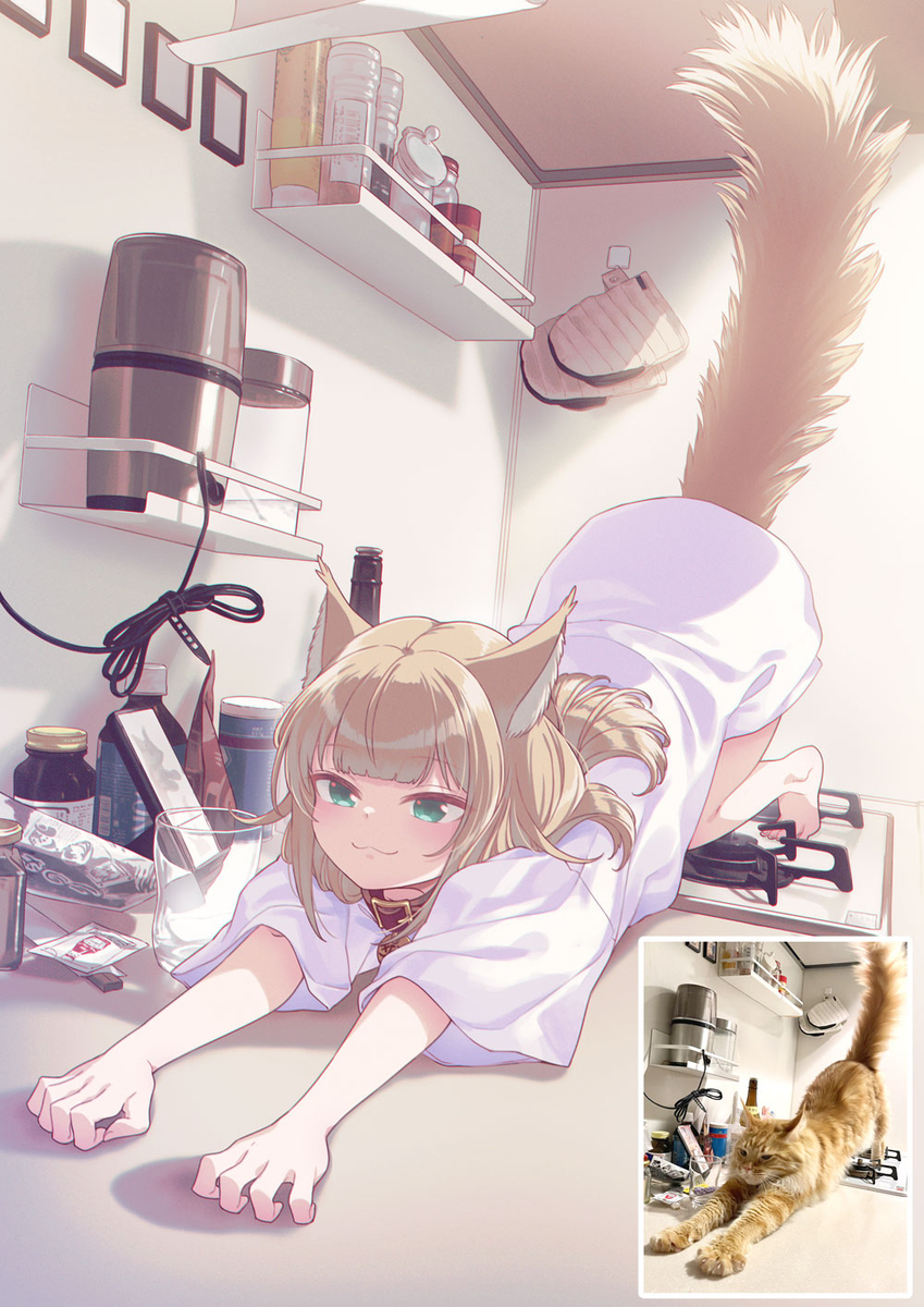 在厨房里伸展 ~🐈🐾