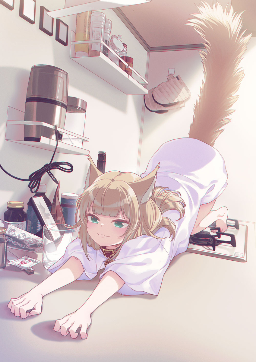 在厨房里伸展 ~🐈🐾