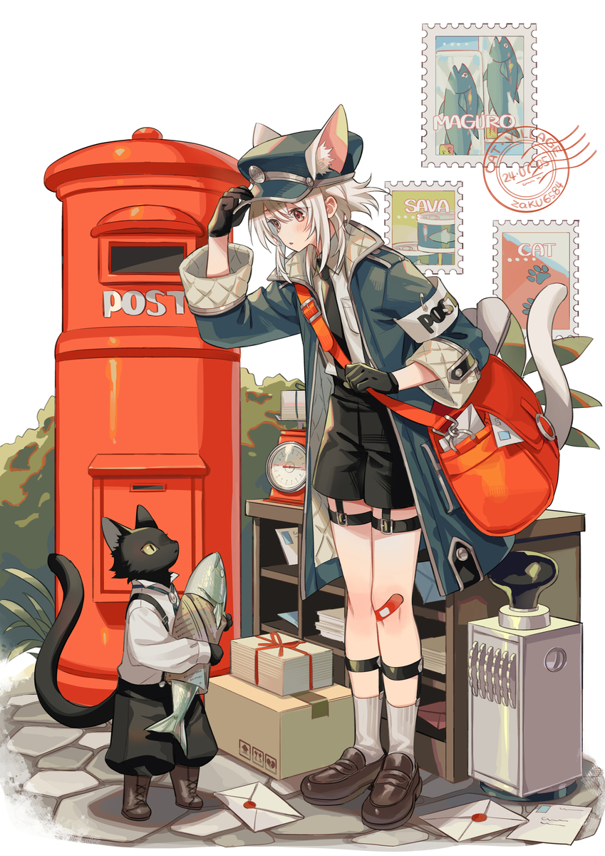 猫的邮递员