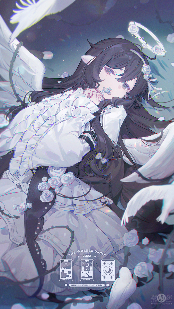 🕊️