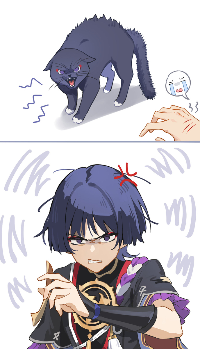 If you encounter a cat&hellip;