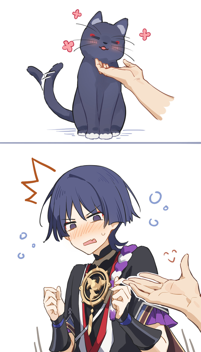 If you encounter a cat&hellip;