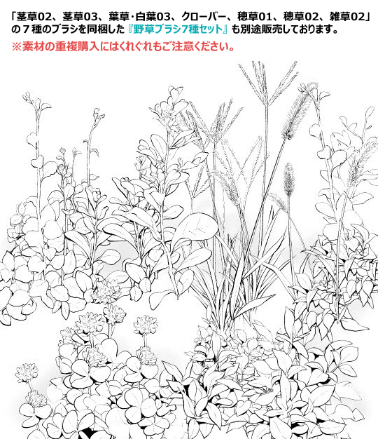 叶草 &middot; 白叶刷03