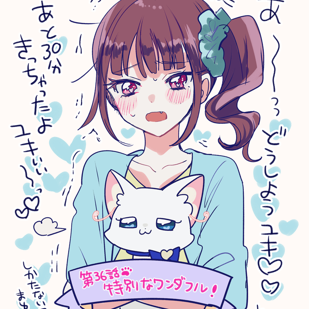 碗日志2