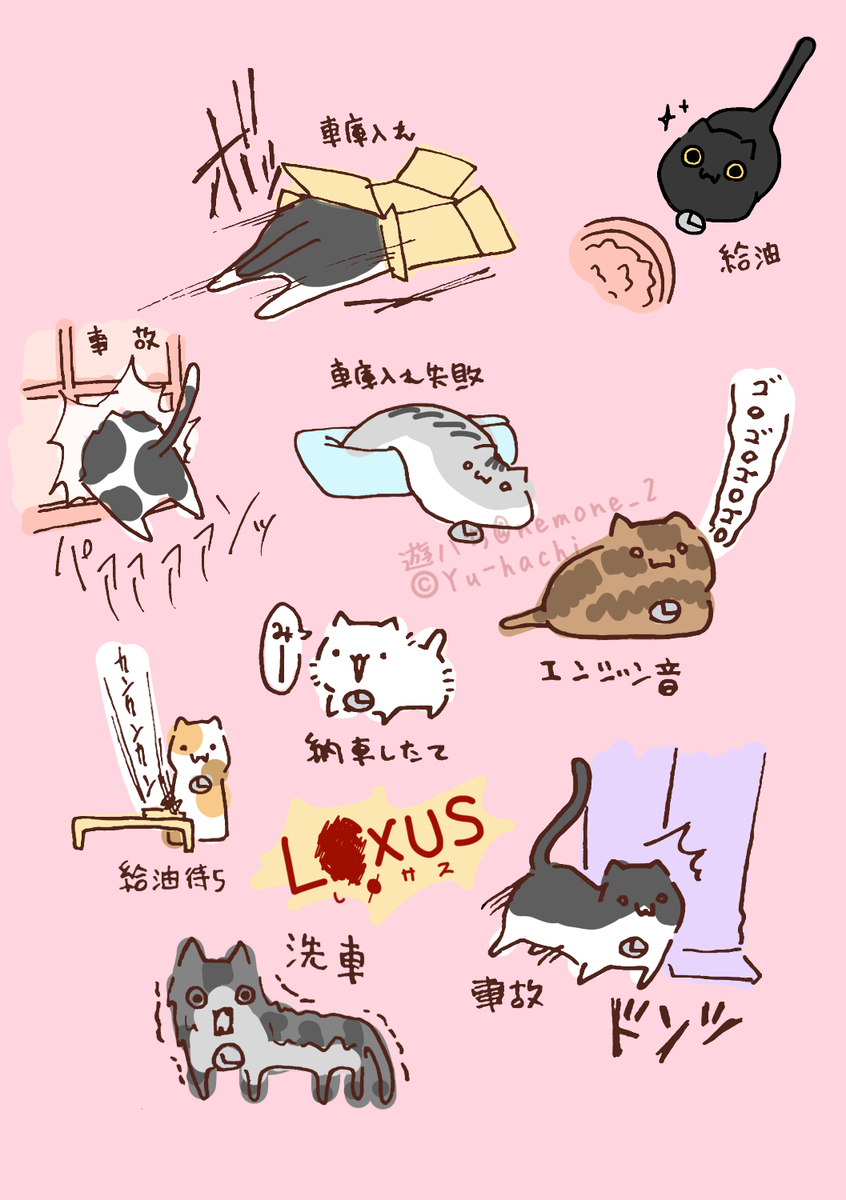 雷克萨斯 (隐语)