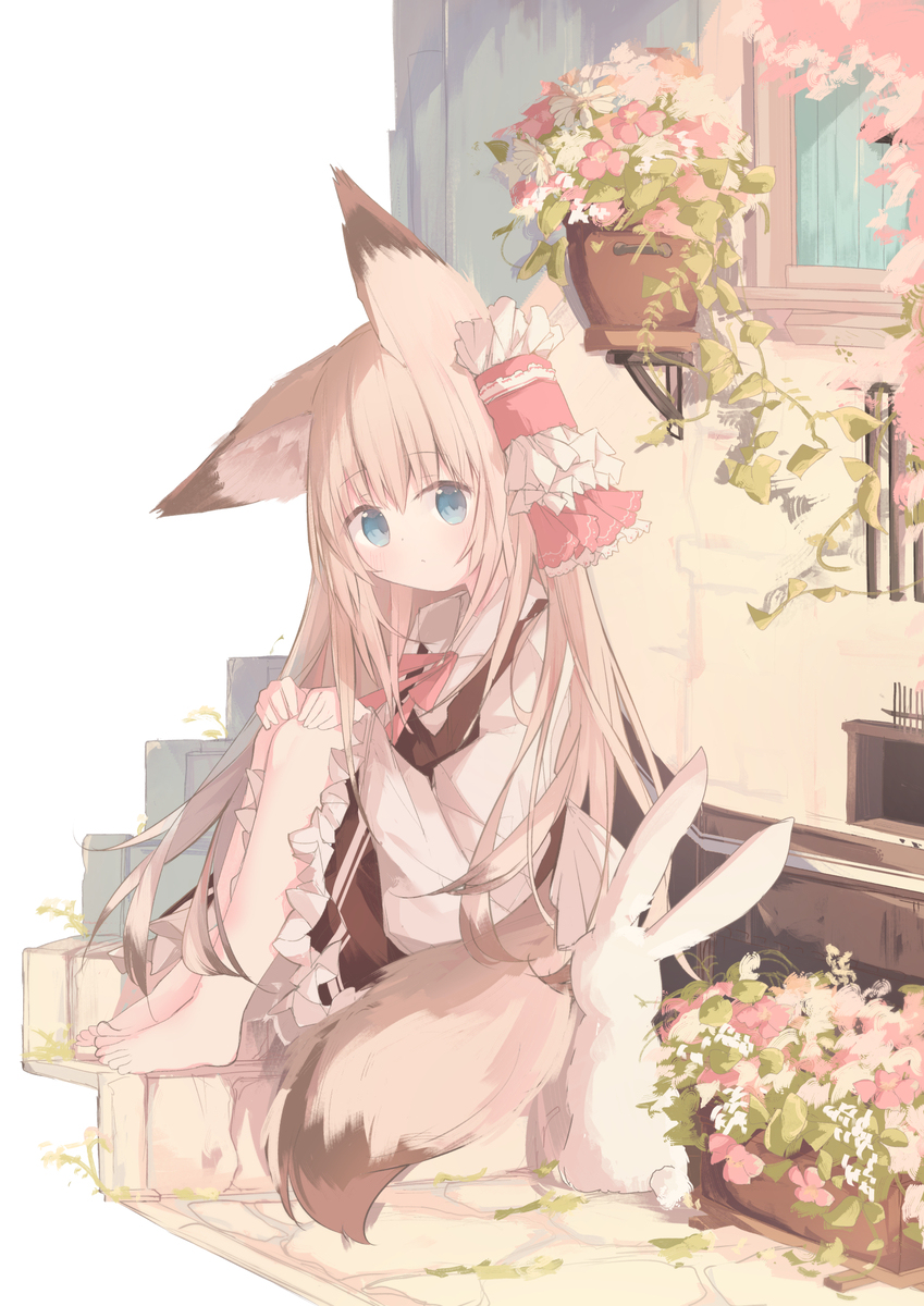 狐狸子