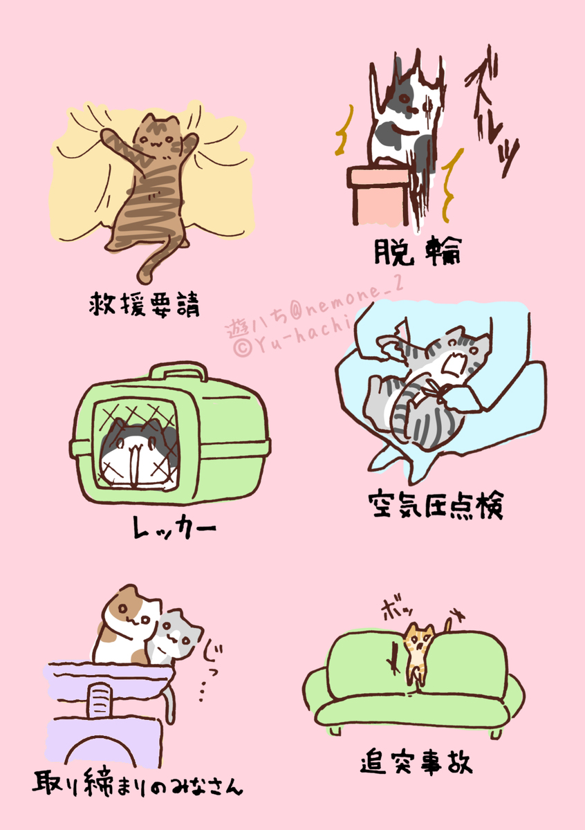 雷克萨斯 (隐语) 5