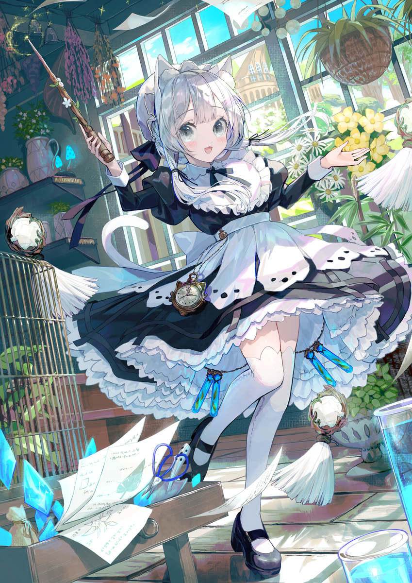 白猫女仆的魔法师