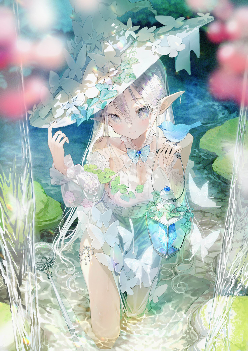 精灵森林中的白色女巫
