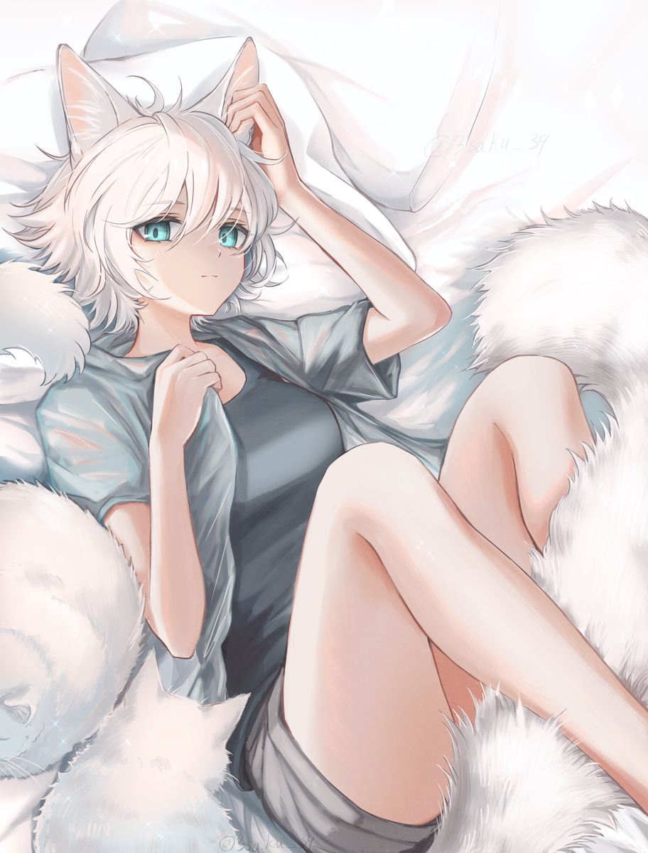 白猫