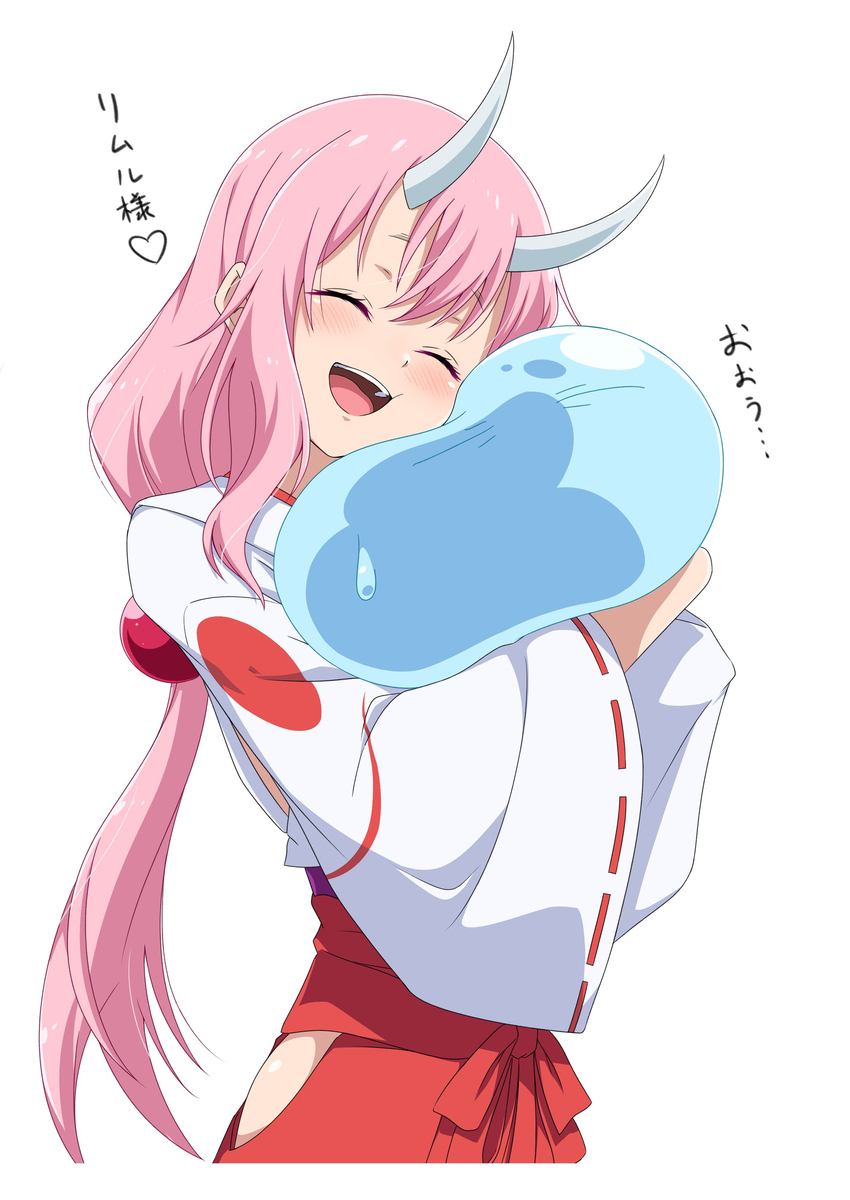 施纳和利姆
