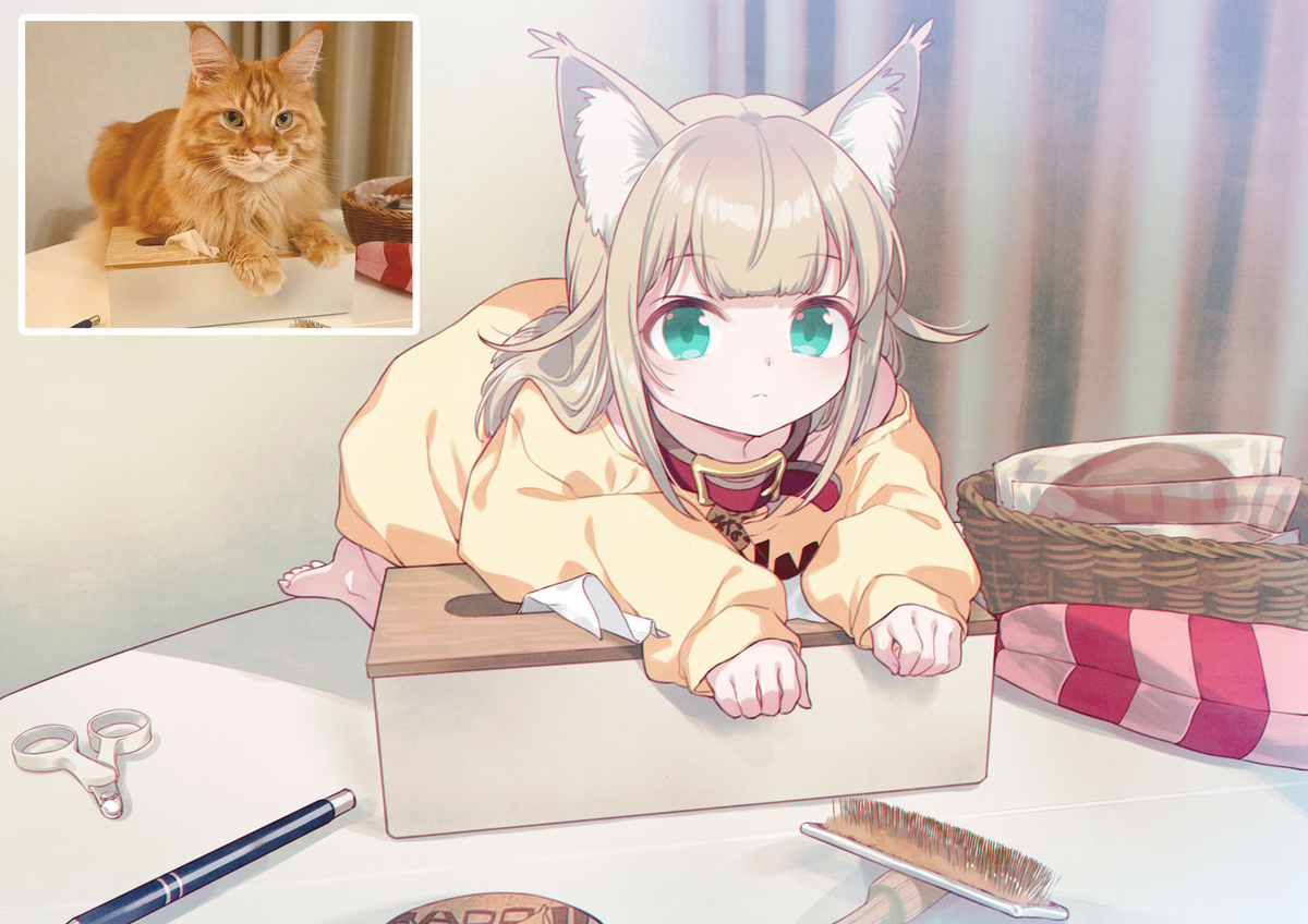 不让我拿纸巾的猫🧻🐈