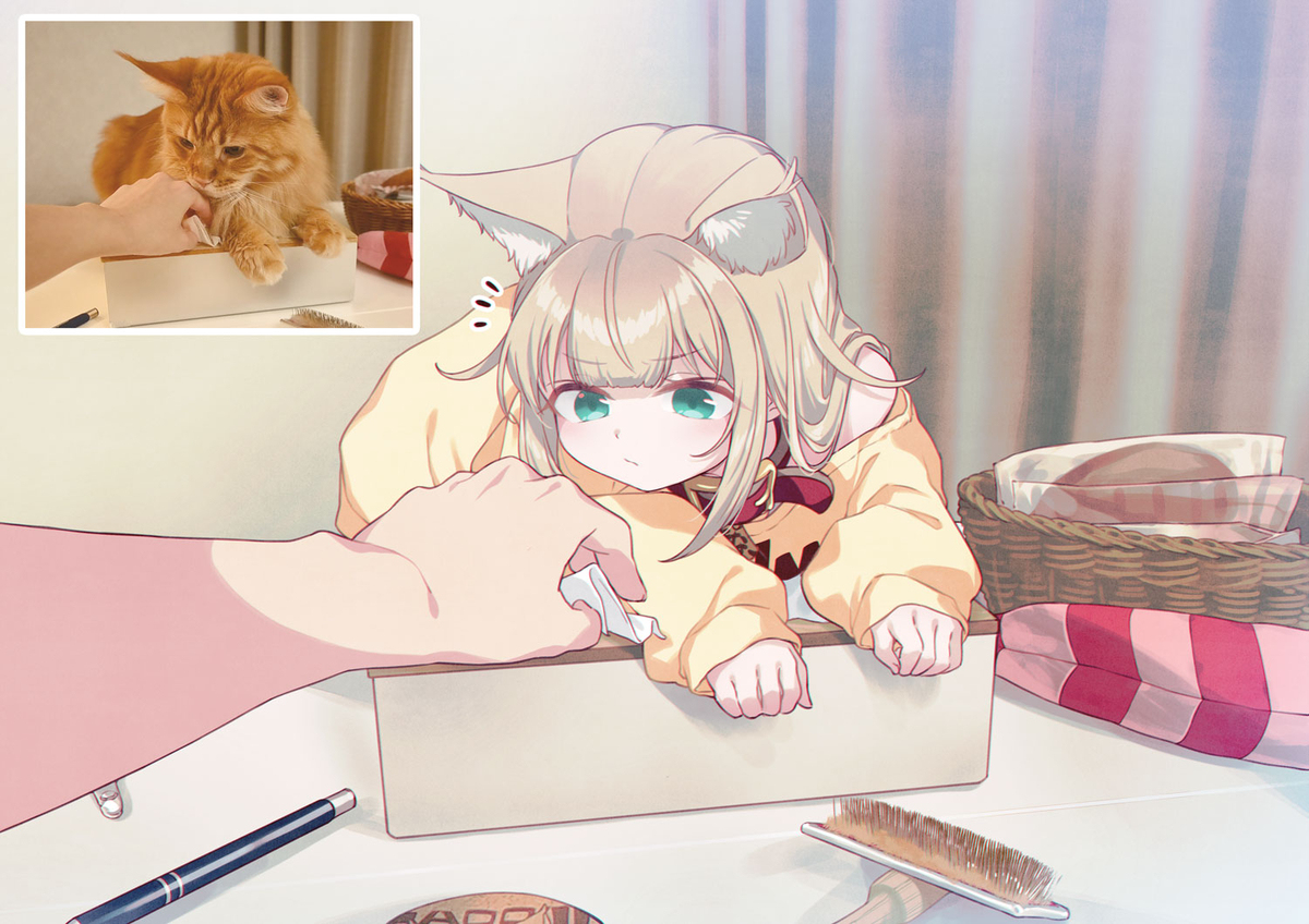 不让我拿纸巾的猫🧻🐈