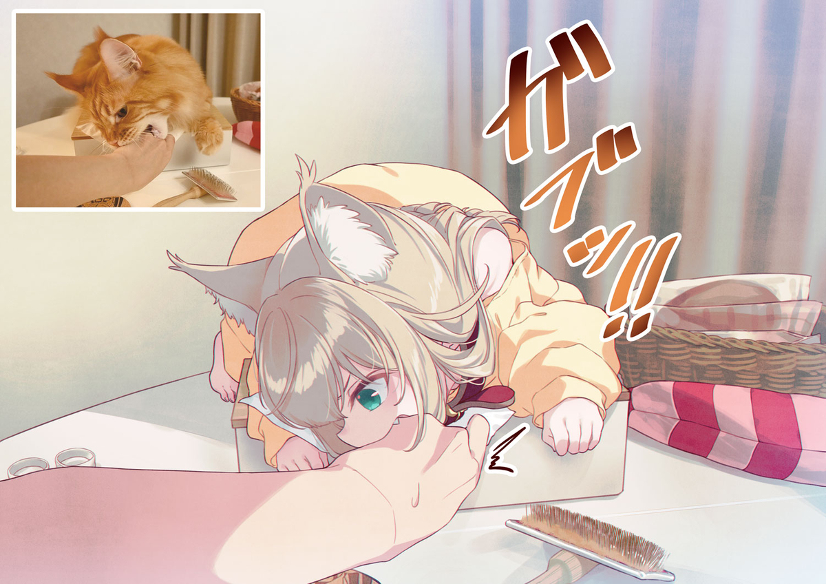 不让我拿纸巾的猫🧻🐈