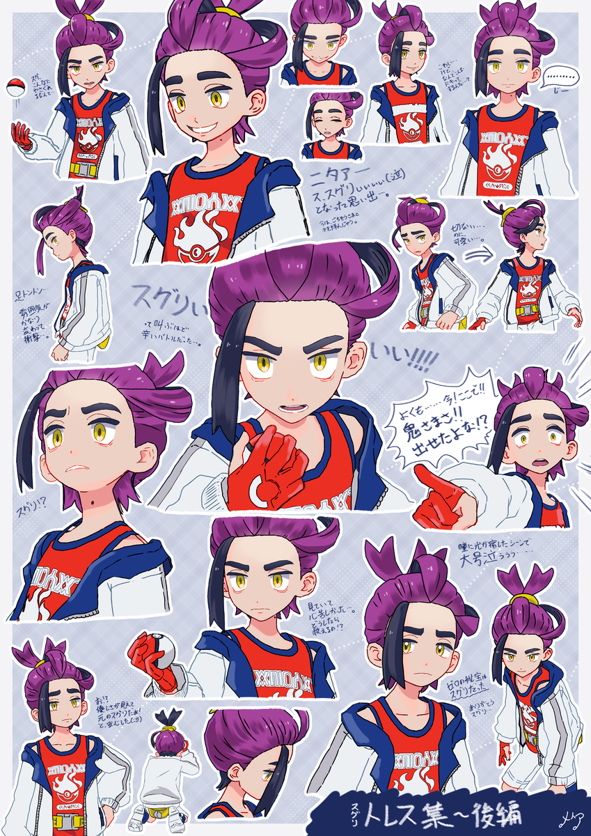【神奇宝贝sv ~ 苏格里】插图总结