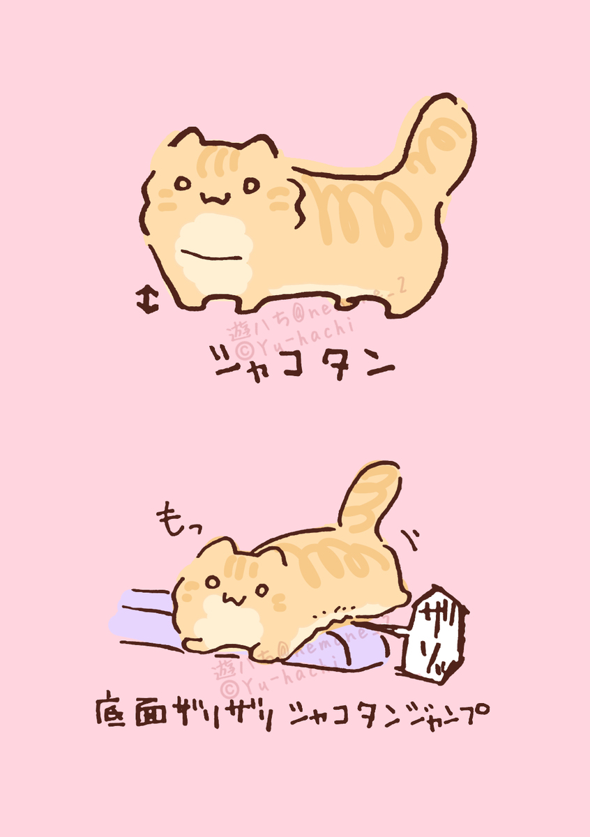 沙丁鱼