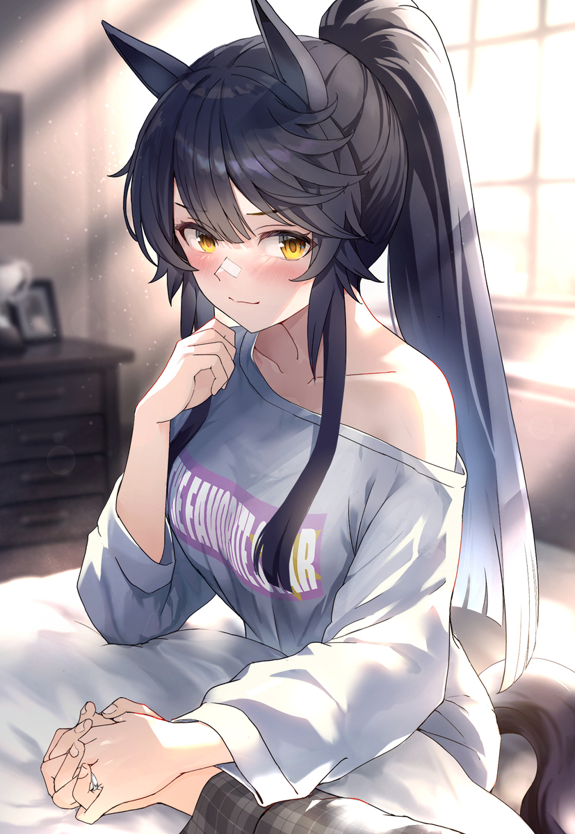 奥约梅布莱恩2