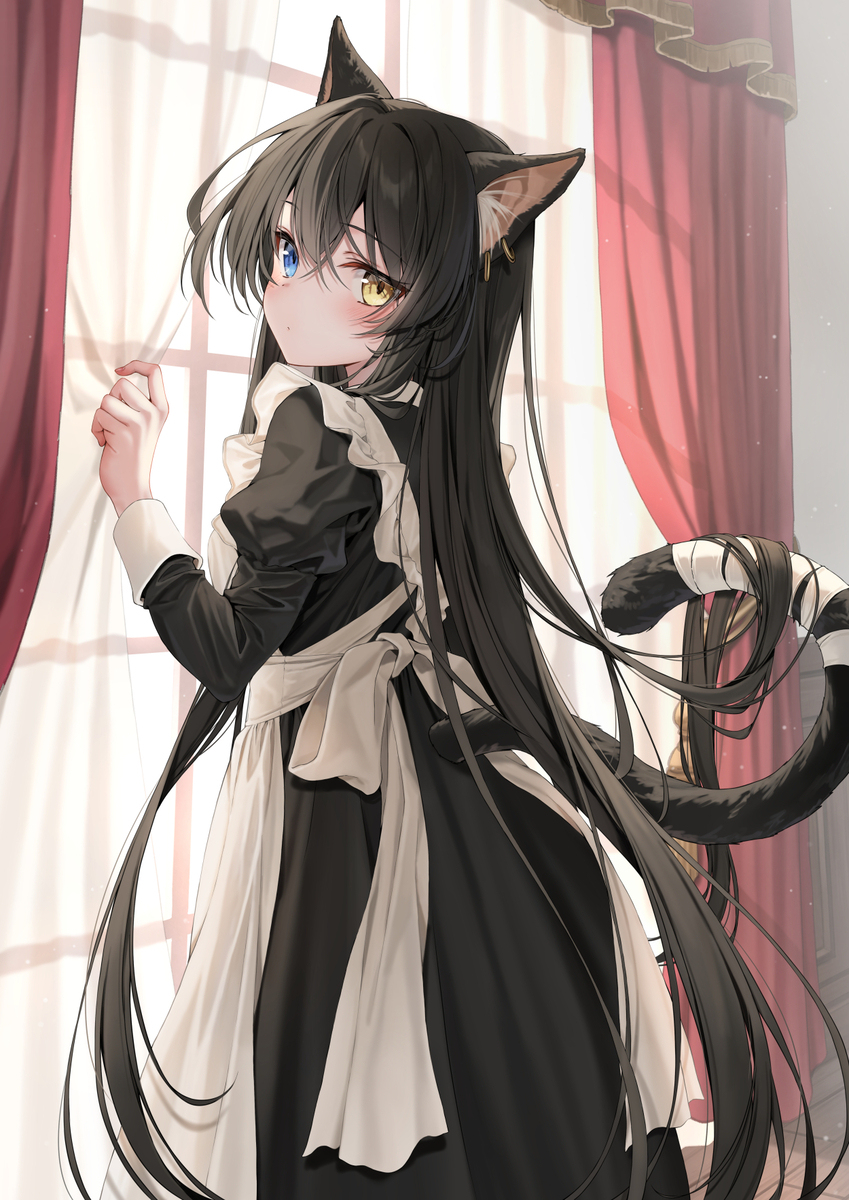 黑猫女仆的早晨