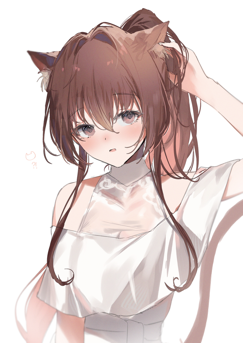 猫美大和先生