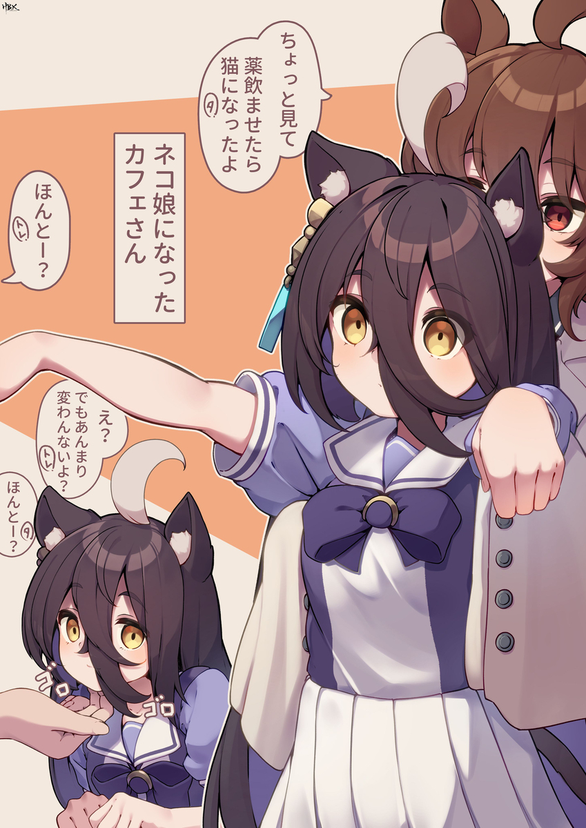 被当成猫的咖啡店先生