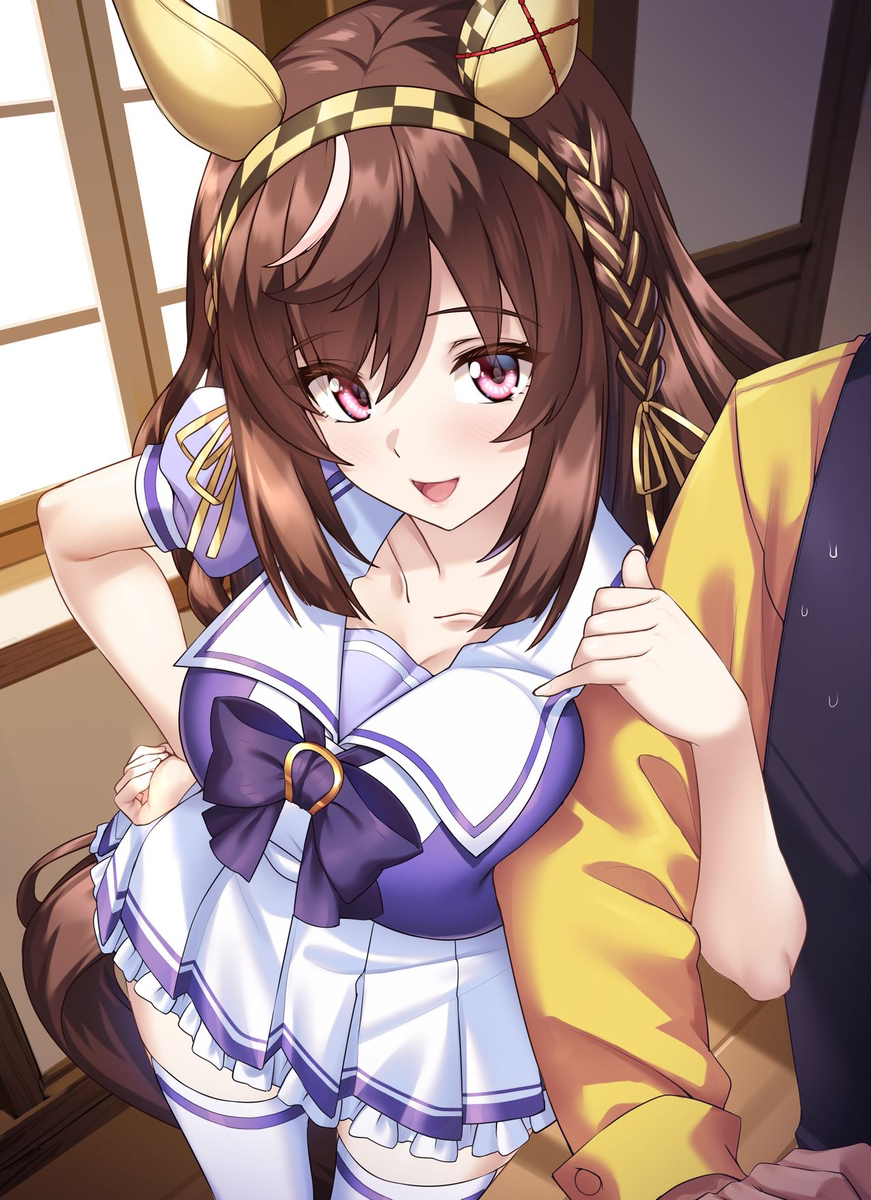 约会布埃纳维斯塔先生